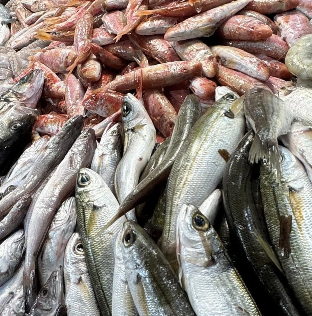 Καθημερινά, φρέσκα ψάρια απευθείας από τα νερά του Αιγαίου. Αγνά, άγρια, ντόπια – από ψαράδες της Λέσβου. Παραγγελία κατόπιν συνεννόησης, ανάλογα με την ψαριά της ημέρας. Daily fresh fish straight from the Aegean. Wild-caught, local, and authentic. Orders upon request, depending on the day’s catch.